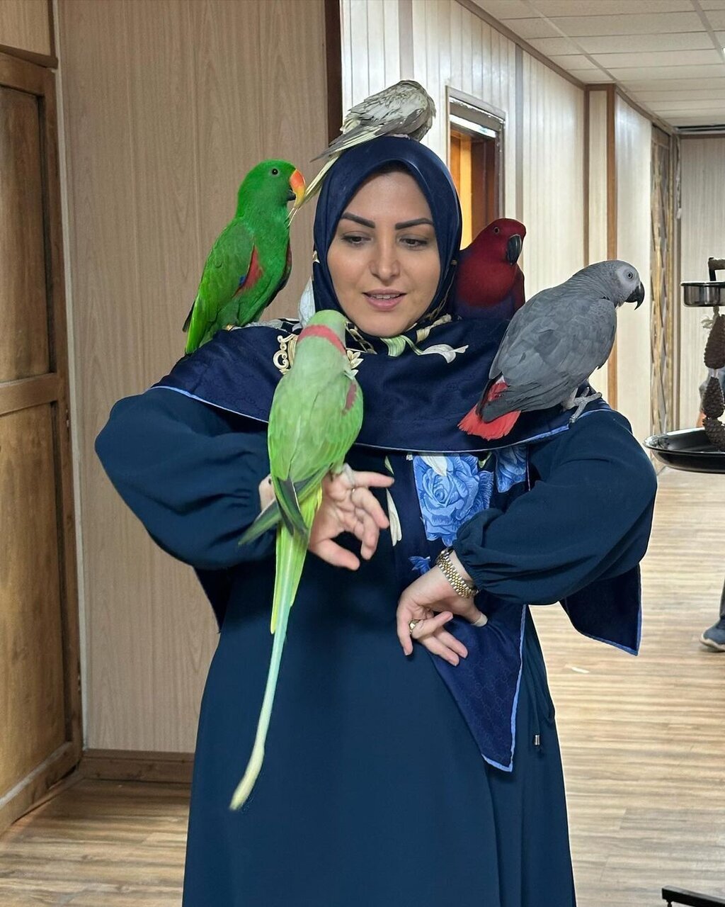 اتفاقی جالب از حضور مهمانان بازیگوش؛ بروی دست و شانه المیرا شریفی مقدم در برنامه اتفاقی جالب از حضور مهمانان بازیگوش؛ بروی دست و شانه المیرا شریفی مقدم در برنامه