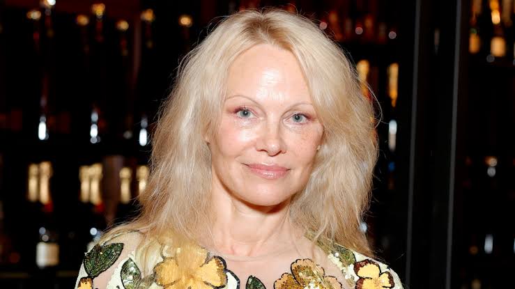 بانوان هالیوودی و فعال دنیای سینما/ این هشت خانم از نظر زیبایی روزی روزگاری داشتند بانوان هالیوودی و فعال دنیای سینما/ این هشت خانم از نظر زیبایی روزی روزگاری داشتند