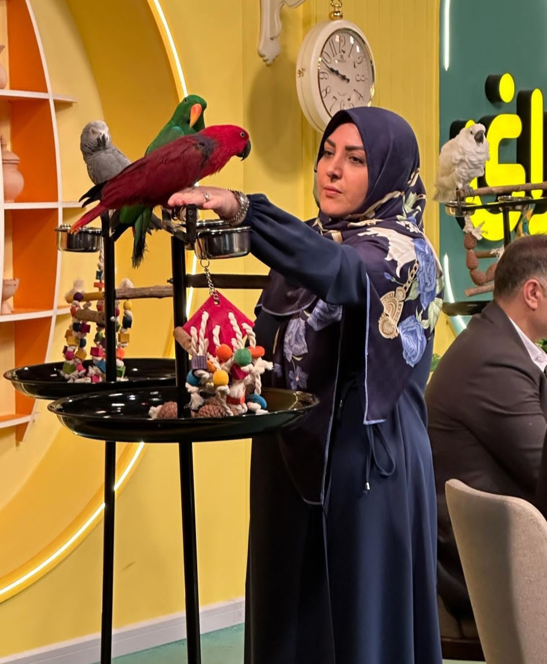 اتفاقی جالب از حضور مهمانان بازیگوش؛ بروی دست و شانه المیرا شریفی مقدم در برنامه اتفاقی جالب از حضور مهمانان بازیگوش؛ بروی دست و شانه المیرا شریفی مقدم در برنامه