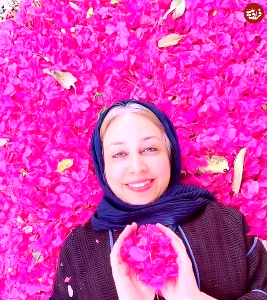 screenshot2024-10-06115828 Screenshot 2024-10-06 115828