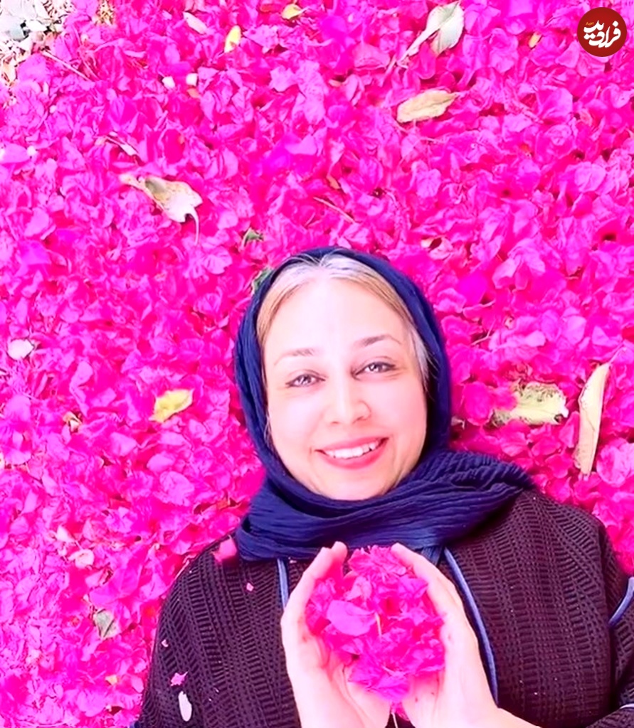 screenshot2024-10-25105126 Screenshot 2024-10-25 105126