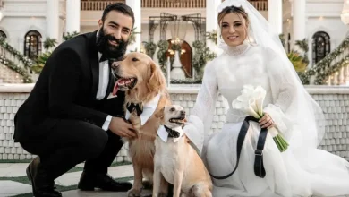 نگاه روز | حال و هوای متفاوت دو زوج فوق العاده در کنار حیوانات خانگیشان