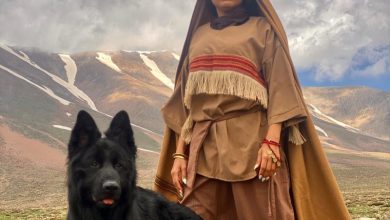 نگاه روز | آلبوم از حیوانات خانگی بازیگران/ نگاهی به سلبریتی‌های مشهور سینما؛ بهنوش طباطبایی؛ سمیرا حسینی؛ نگین معتضدی ..