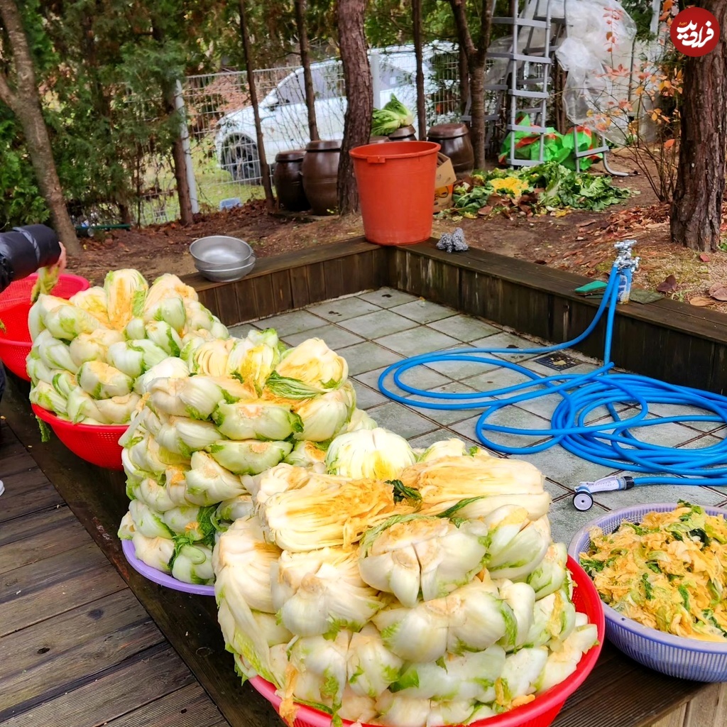 11zon_leeyoungae0824_1732184074_3506136593747298467_12886250338 11zon_leeyoungae0824_1732184074_3506136593747298467_12886250338