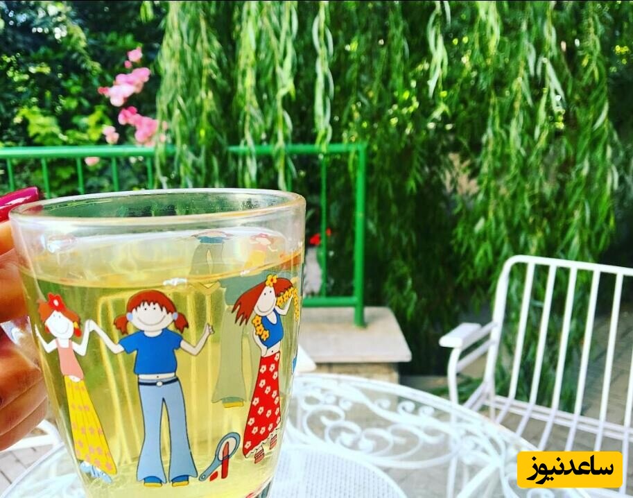 نگاه روز |چیدمان جذاب و زیبای حیاط باصفا و دلباز ملیکا، خواهر مهراوه شریفی نیا/ زیبا و آرامبخش نگاه روز |چیدمان جذاب و زیبای حیاط باصفا و دلباز ملیکا، خواهر مهراوه شریفی نیا/ زیبا و آرامبخش