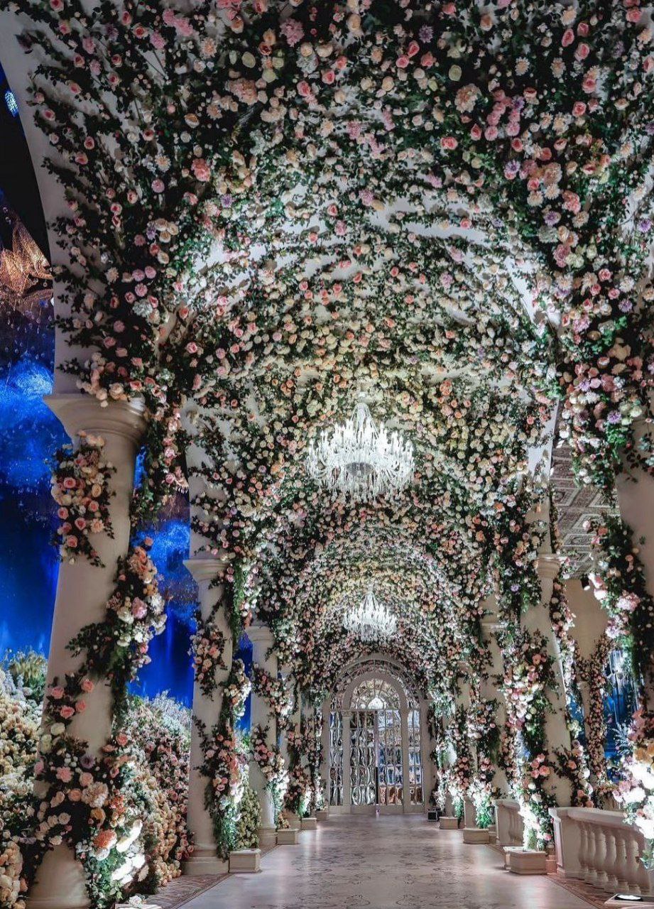 تاریخ وبگردی | نانسی عجرم خواننده مشهور در عروسی مجلل زوج قطری