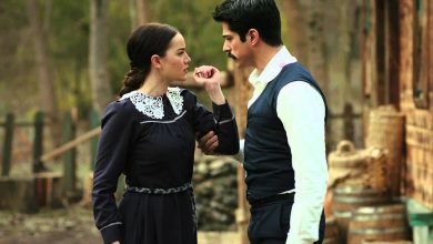 نگاه روز |معرفی ۱۰ سریال ترکی که عشقشان ایران را فتح کرد/گل‌های خونی؛ عشق تجملاتی؛ آقای اشتباه ..