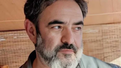 سریال کره ای | عکس عاشقانه از حسن معجونی در کنار همسرش در مقابل دوربین عکاسان