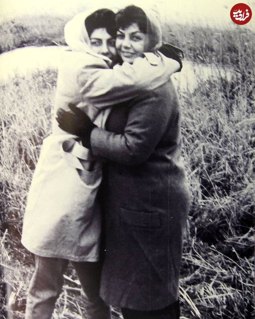 photo_2024-11-17_13-09-11 photo_2024-11-17_13-09-11