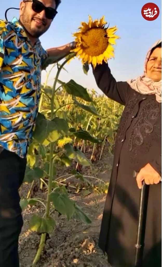 screenshot2024-11-07101759 Screenshot 2024-11-07 101759