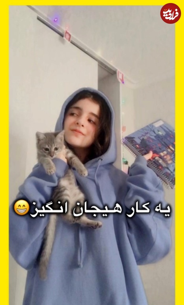 screenshot2024-11-23140721 Screenshot 2024-11-23 140721