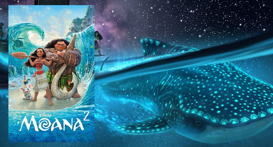 پنج انیمیشن برتر و تماشایی سال ۲۰۲۴/درون و بیرون؛موانا و... پنج انیمیشن برتر و تماشایی سال ۲۰۲۴/درون و بیرون؛موانا و...