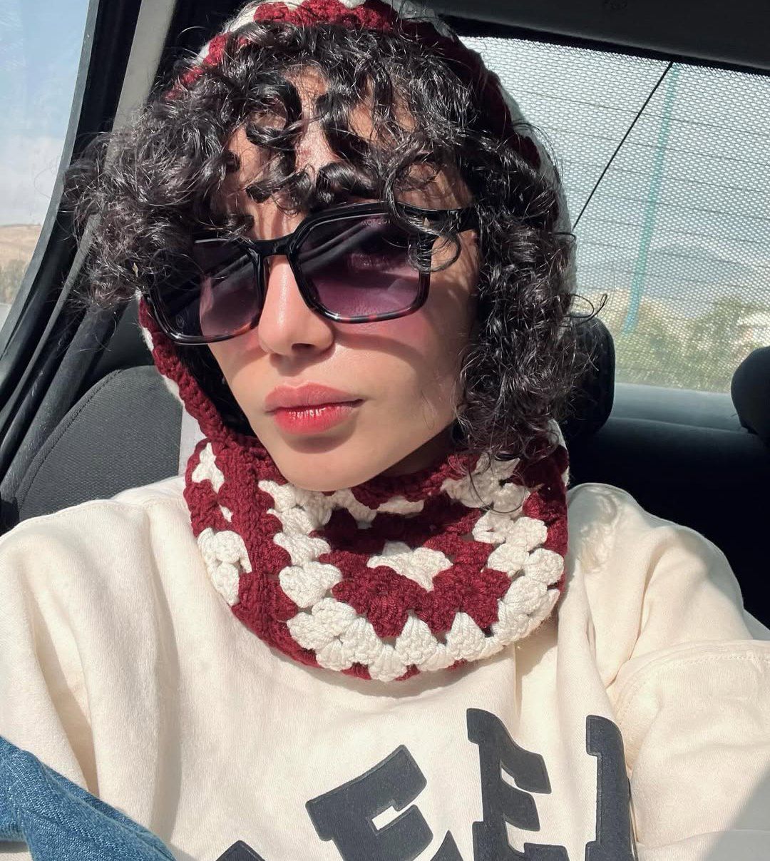 نگاه روز | تصویری متفاوت از فیس ترلان پروانه