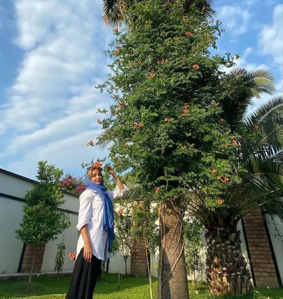 نگاه روز |تصویری منحصر به فرد از شبنم قلیخانی در کنار درختی زیبا نگاه روز |تصویری منحصر به فرد از شبنم قلیخانی در کنار درختی زیبا