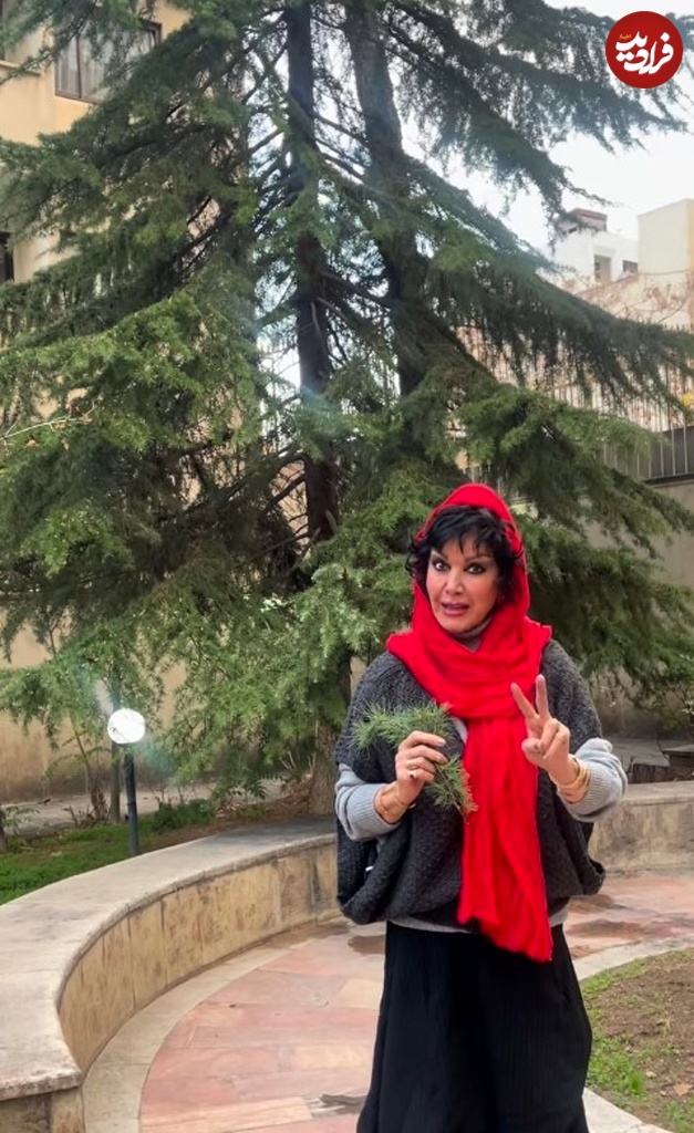 تغییر چهره «مادر علی کوچولو» بعد 39 سال در 75 سالگی : امروز شنبه ۲۵ مرداد ۱۴۰۴ تغییر چهره «مادر علی کوچولو» بعد 39 سال در 75 سالگی : امروز شنبه ۲۵ مرداد ۱۴۰۴