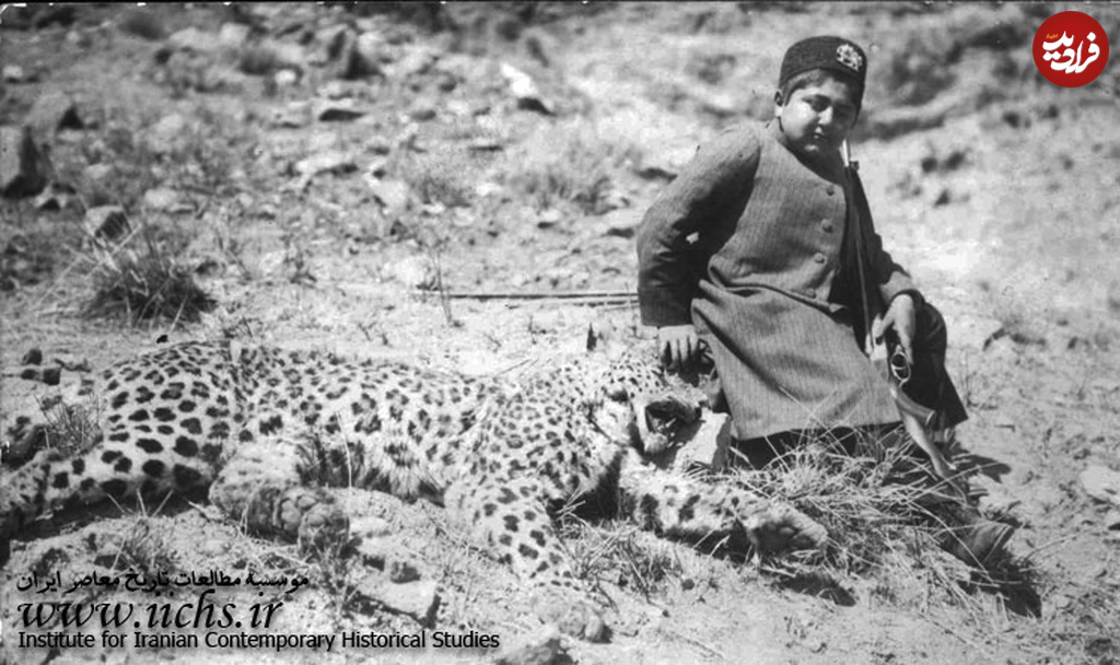 n00003363-r-b-003 n00003363-r-b-003