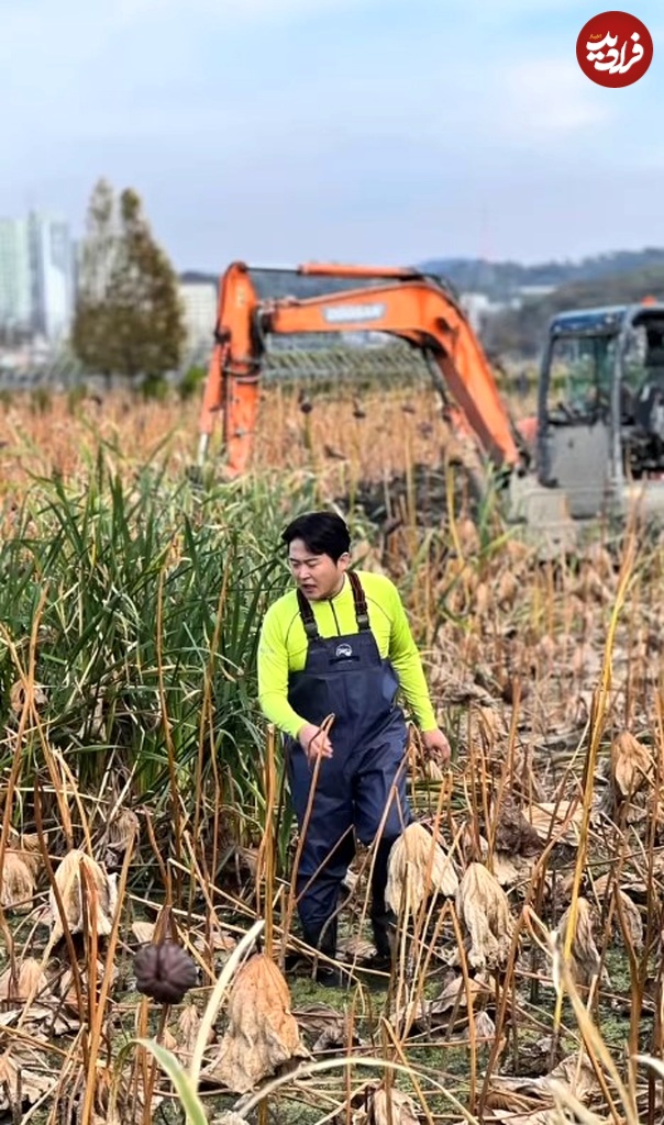 screenshot2024-12-14154450 Screenshot 2024-12-14 154450