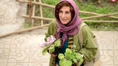 تاریخ و زمان وبگردی؛ مراسم عروسی «فاطمه معتمدآریا و احمد حامد»