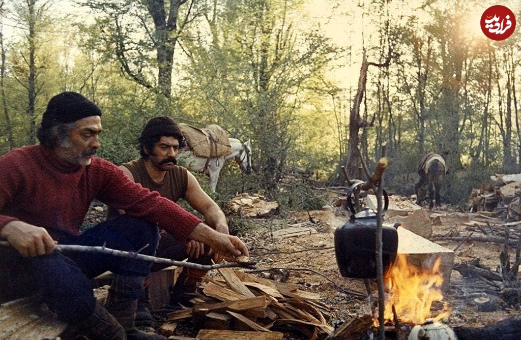 99272322_574755393472591_2968277212802842624_n 99272322_574755393472591_2968277212802842624_n