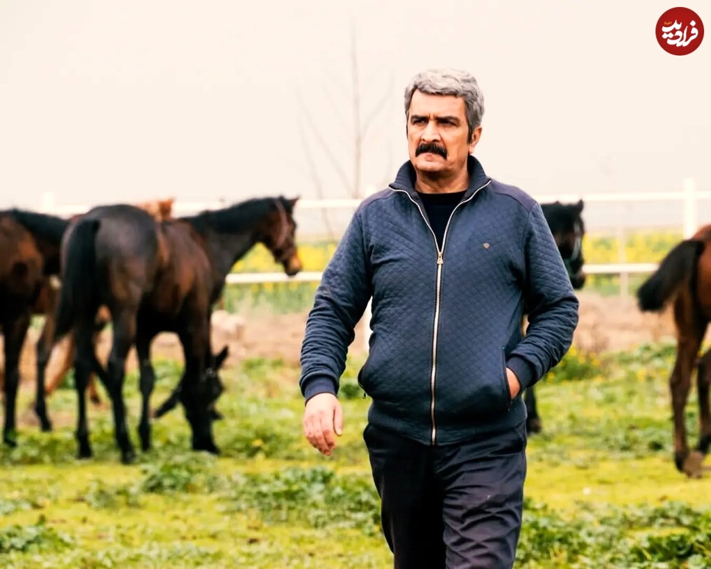 mehrdad-ziae_1687726165_3133196622886908170_4667929340_11zon mehrdad.ziae_1687726165_3133196622886908170_4667929340_11zon