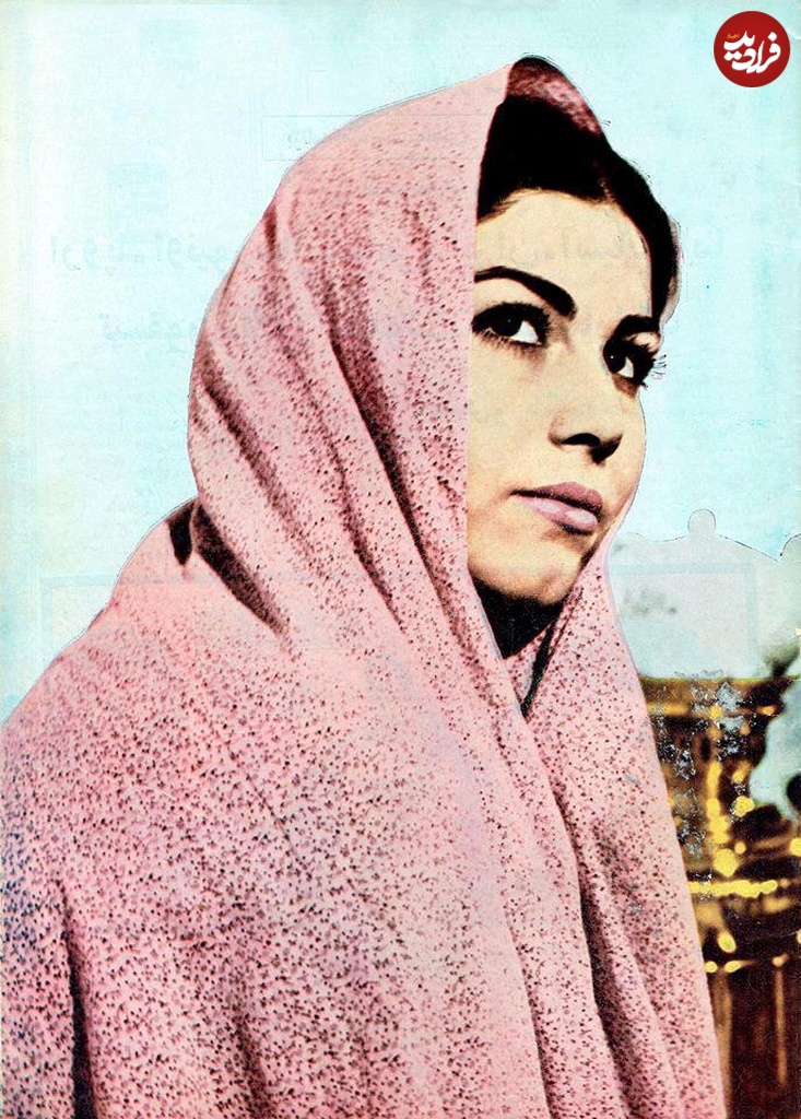 photo_2025-01-26_16-00-54 photo_2025-01-26_16-00-54