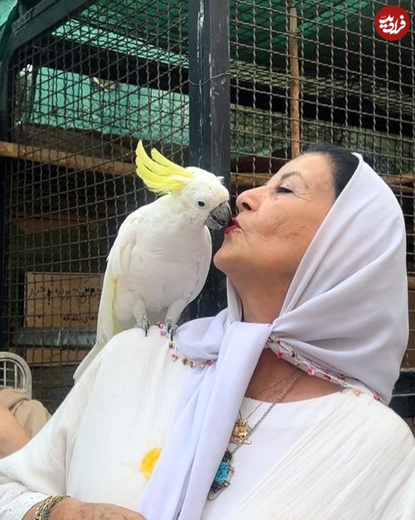 pouribanaaei_1721889769_3419781703352378719_3534250520 pouribanaaei_1721889769_3419781703352378719_3534250520