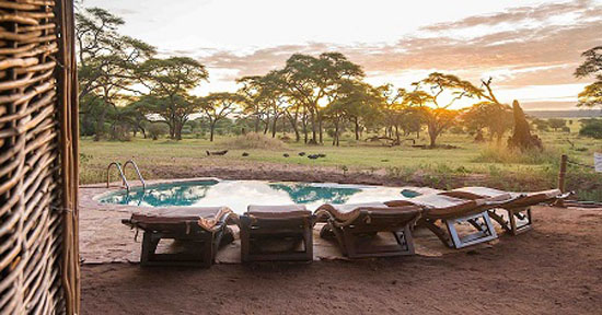 ترسناک ترین استخر های جهان را بشناسید + عکس ترسناک ترین استخر های جهان را بشناسید + عکس