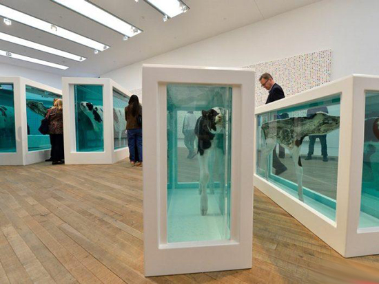 با گرانترین اتاق هتل جهان در ایالت نوادا آشنا شوید با گرانترین اتاق هتل جهان در ایالت نوادا آشنا شوید