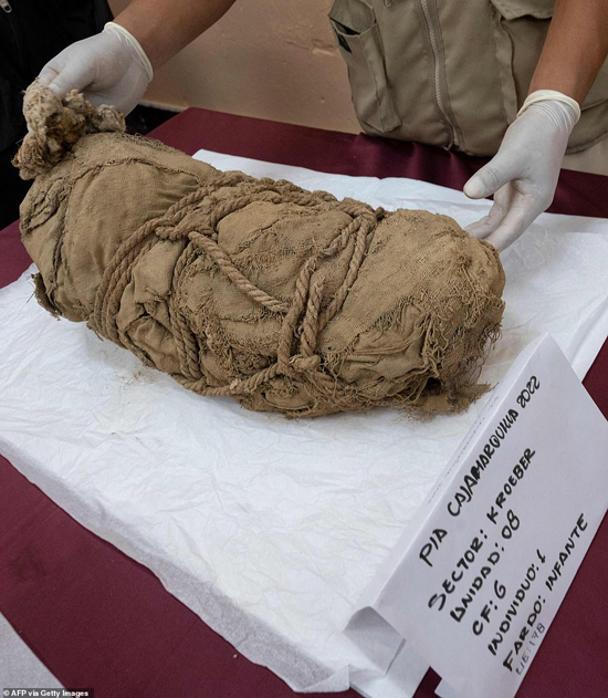 کشف ۶ کودک مومیایی که به همراه جسد مردی نجیبزاده قربانی شده بودند + عکس کشف ۶ کودک مومیایی که به همراه جسد مردی نجیبزاده قربانی شده بودند + عکس