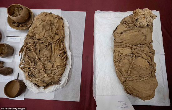 کشف ۶ کودک مومیایی که به همراه جسد مردی نجیبزاده قربانی شده بودند + عکس کشف ۶ کودک مومیایی که به همراه جسد مردی نجیبزاده قربانی شده بودند + عکس