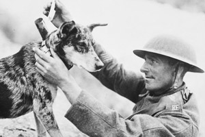 نگاه روز |حیواناتی که در جنگ های انسان ها شرکت کرده اند