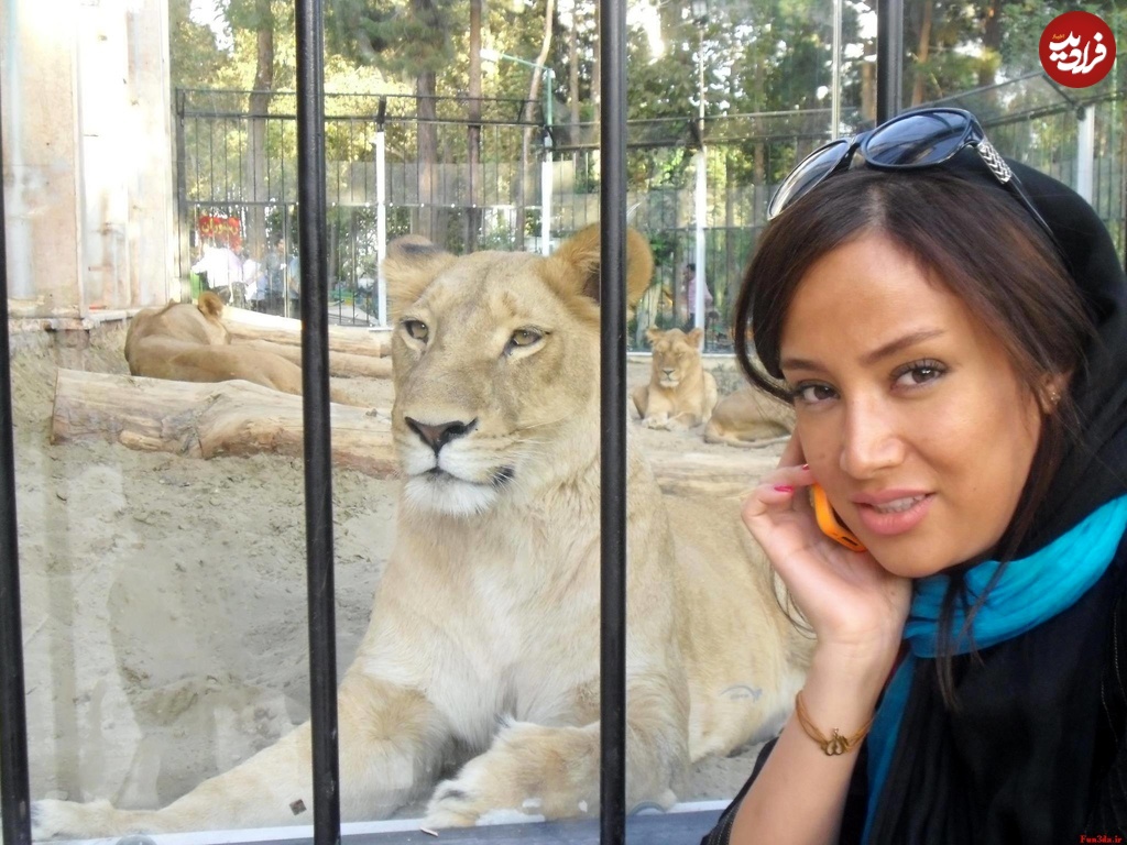 463011260_27179913761623599_7694015809260571406_n 463011260_27179913761623599_7694015809260571406_n