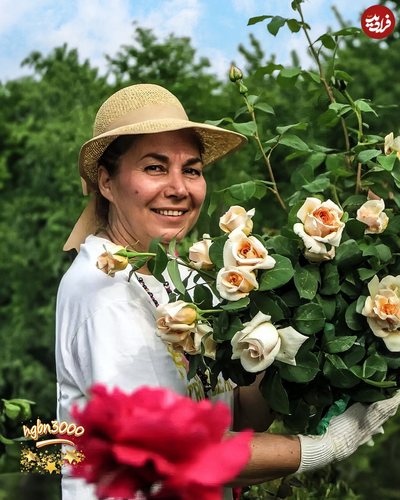 hgbn3000_1710826206_3326973813432664423_11671333881 hgbn3000_1710826206_3326973813432664423_11671333881