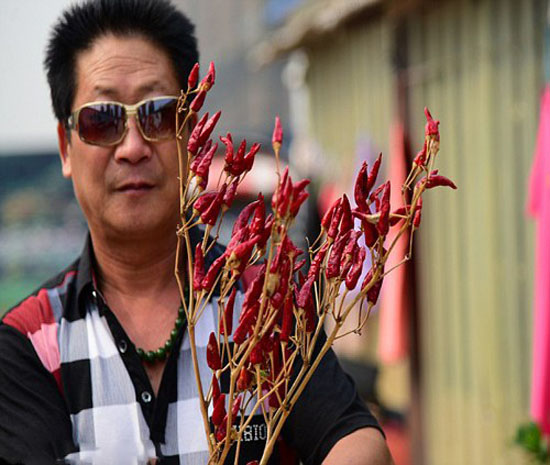 نگاه روز | این مرد در روز 2/5 کیلو فلفل تند میخورد + عکس نگاه روز | این مرد در روز 2/5 کیلو فلفل تند میخورد + عکس