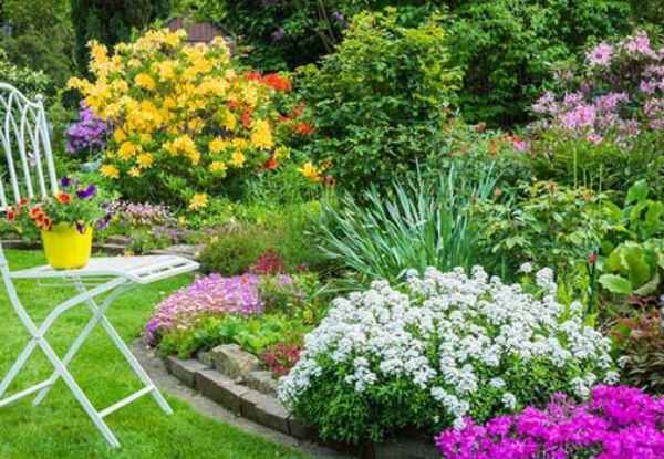 مراقبت از گل ها