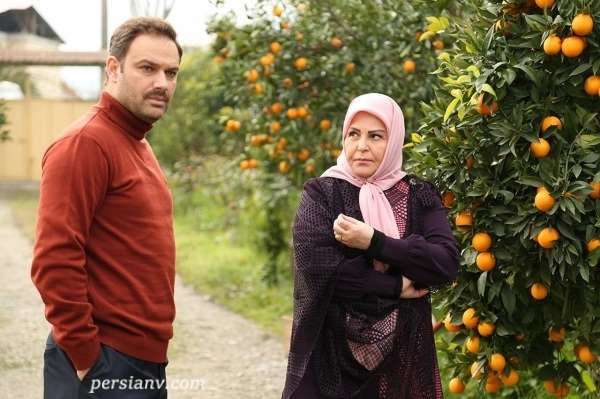 مجموعه ستایش