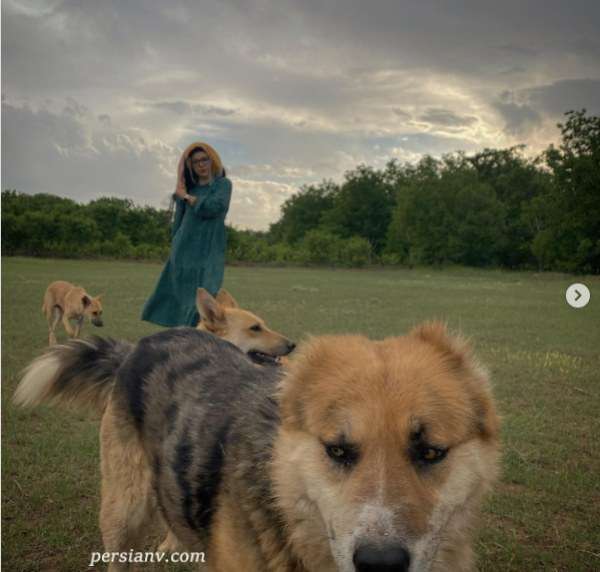 پریچهر قنبری