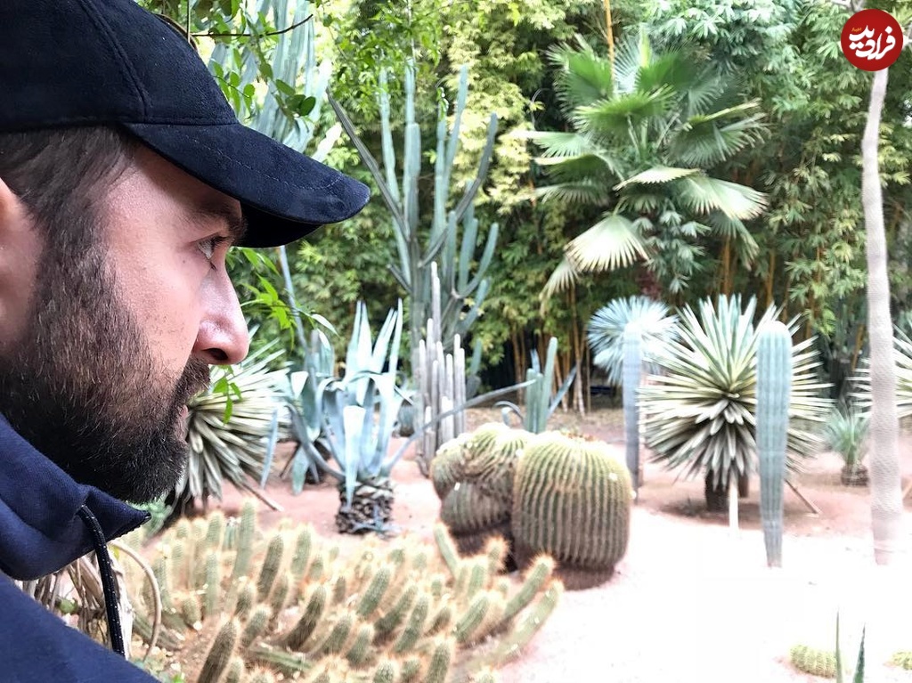 hamedmirbagheri_official_1519647071_1723246990434033254_4626401771 hamedmirbagheri_official_1519647071_1723246990434033254_4626401771