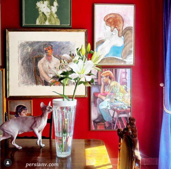 خانه صابر ابر