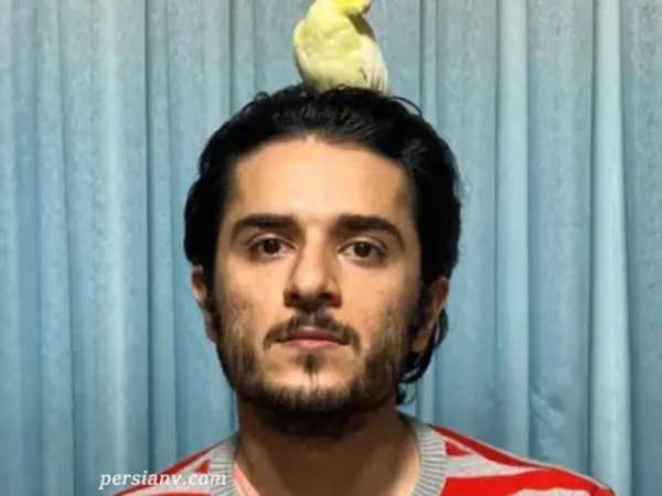 بازیگر امیر وضعیت سفید