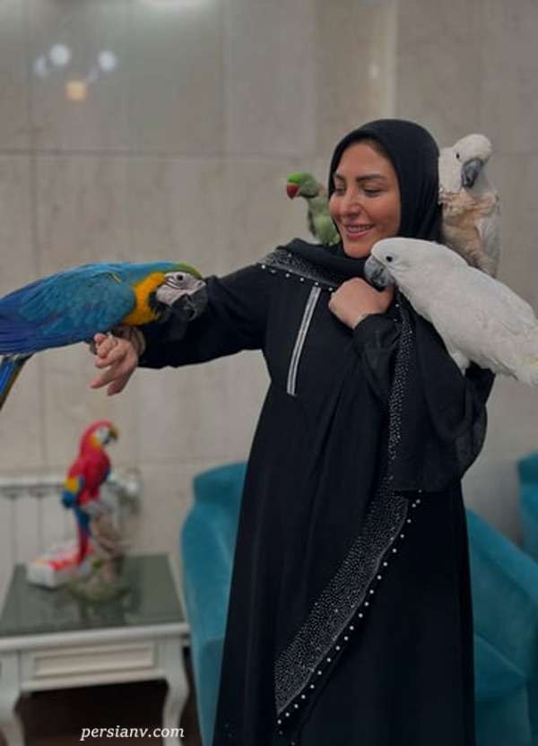 هم صحبتی مجری زن با طوطی ها