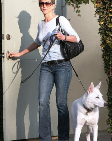 زمان و ساعت وبگردی؛ خانه 4 میلیاردی هدیه زن بازیگر به سگش+تصاویر زمان و ساعت وبگردی؛ خانه 4 میلیاردی هدیه زن بازیگر به سگش+تصاویر