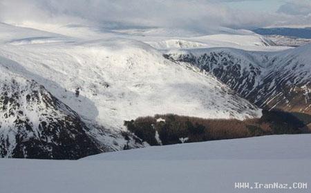 مرگ مردی که میخواست مانند خرس ها زندگی کند!!