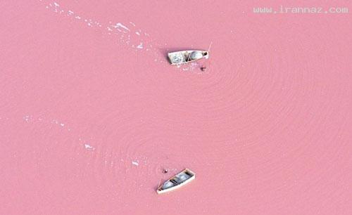 دریاچه ای عجیب که رنگ آب آن صورتی است! +تصاویر