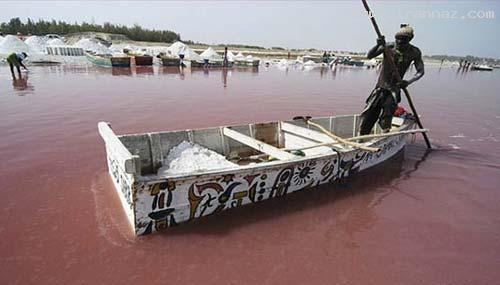 دریاچه ای عجیب که رنگ آب آن صورتی است! +تصاویر