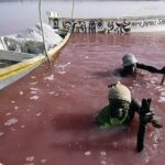 پخش زنده تصاویر | دریاچه ای عجیب که رنگ آب آن صورتی است! +تصاویر