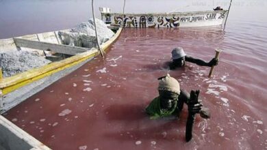 نگاه روز | دریاچه ای عجیب که رنگ آب آن صورتی است! +تصاویر