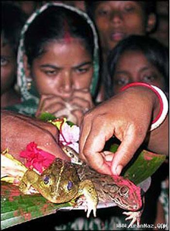 ازدواج عجیب و باور نکردنی دو دختر با قورباغه! +عکس ازدواج عجیب و باور نکردنی دو دختر با قورباغه! +عکس