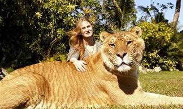 حیوانی که تا بحال وجود نداشته!؟ (+عکس) حیوانی که تا بحال وجود نداشته!؟ (+عکس)