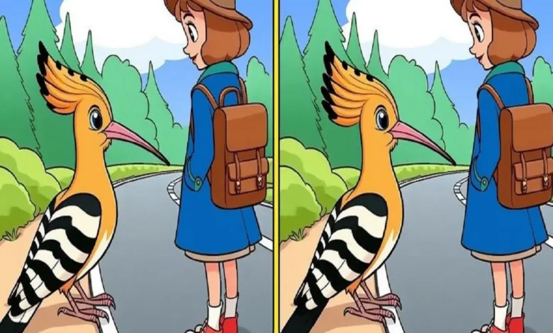 بازی فکری؛ فقط تیزبینا تفاوت های 2 تصویر هد هد شانه به سر و دخترک را پیدا می کنن